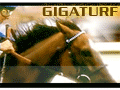 GigaTurf